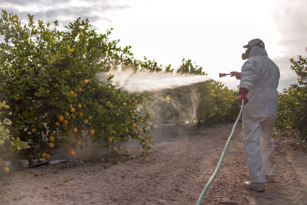 Best Wildlife Control Services  in Peach Springs, AZ